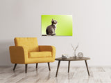 Leinwandbild Pop Art Katze XL - SoiréeArts