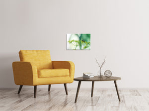 Leinwandbild XXL Pastinak