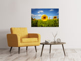 Leinwandbild Sommer-Sonnenblumen - SoiréeArts