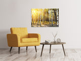 Leinwandbild Birkenwald - SoiréeArts
