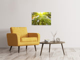 Leinwandbild Baumkronen in der Sonne - SoiréeArts