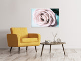 Leinwandbild Pastellrose - SoiréeArts