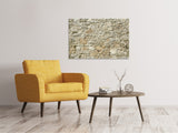 Leinwandbild Naturmauer - SoiréeArts