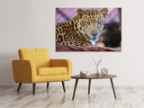 Leinwandbild Leopard - SoiréeArts