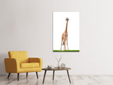 Leinwandbild Die lange Giraffe - SoiréeArts