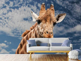 Fototapete Achtung Giraffe! - SoiréeArts