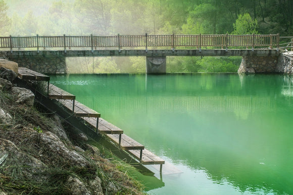 Fototapete Der grüne Teich