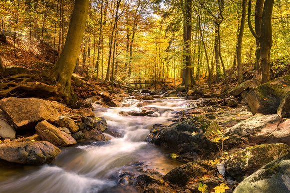 Fototapete Echte Natur Schönheit