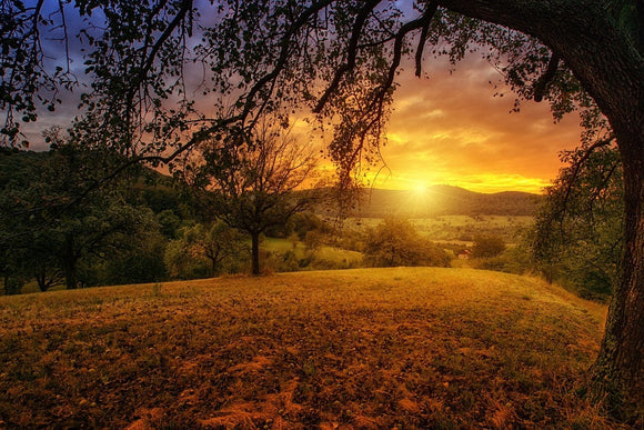 Fototapete Eine Landschaft im Sonnenuntergang