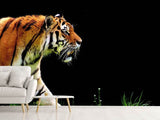 Fototapete Imposanter Tiger - SoiréeArts