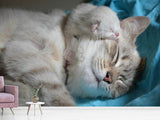 Fototapete Katzen Mama mit Baby - SoiréeArts