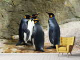 Fototapete König Pinguine - SoiréeArts