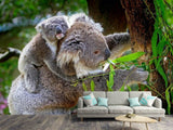 Fototapete Mama und Baby Koala - SoiréeArts