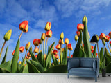 Fototapete Tulpen ragen zum Himmel - SoiréeArts