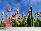 Fototapete Tulpen ragen zum Himmel - SoiréeArts