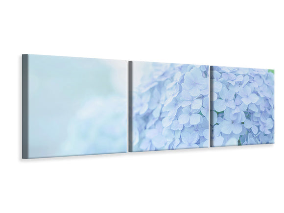 Panorama Leinwandbild 3-teilig Die Hortensie