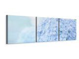 Panorama Leinwandbild 3-teilig Die Hortensie