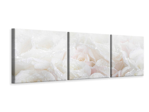 Panorama Leinwandbild 3-teilig Weisse Rosen im Morgentau