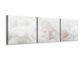 Panorama Leinwandbild 3-teilig Weisse Rosen im Morgentau