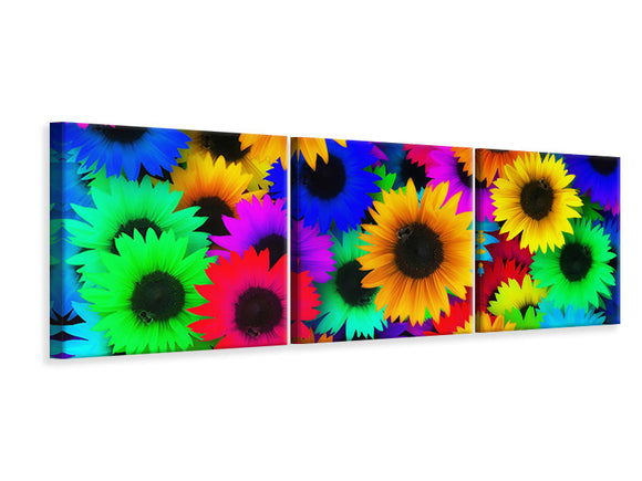 Panorama Leinwandbild 3-teilig Bunte Sonnenblumen