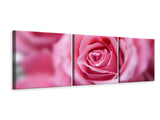 Panorama Leinwandbild 3-teilig Rosen Makro