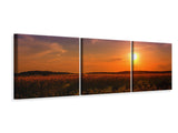 Panorama Leinwandbild 3-teilig Sonnenuntergang am Blumenfeld