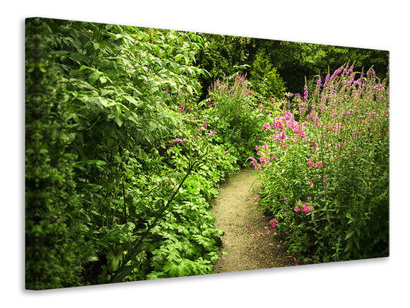 Leinwandbild Gartenweg