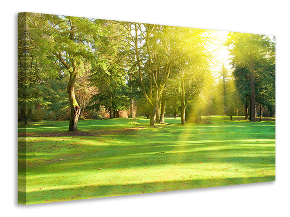 Leinwandbild Im Park