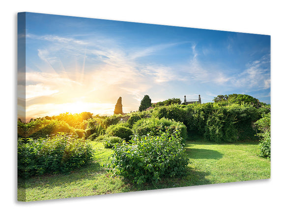 Leinwandbild Sonnenaufgang im Park