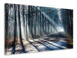 Leinwandbild Wald im Lichtstrahl