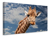 Leinwandbild Achtung Giraffe!