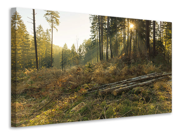 Leinwandbild Arbeiten im Wald