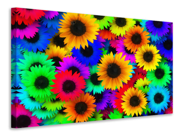 Leinwandbild Bunte Sonnenblumen