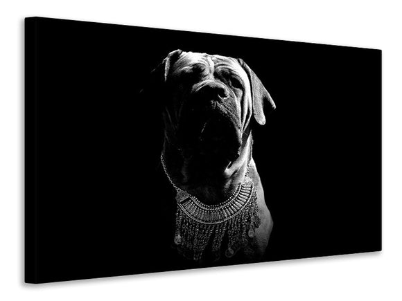 Leinwandbild Der Boerboel sw