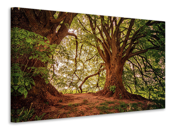 Leinwandbild Im dichten Wald