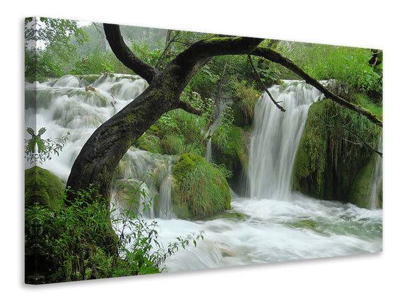 Leinwandbild Im Nationalpark