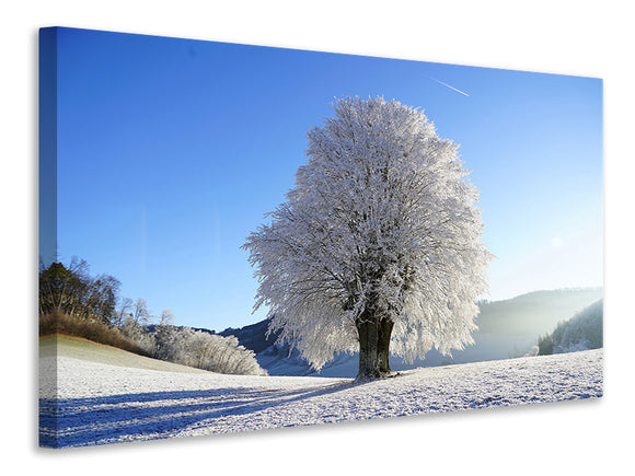 Leinwandbild Winter Märchen