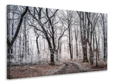 Leinwandbild Winterlicher Wald