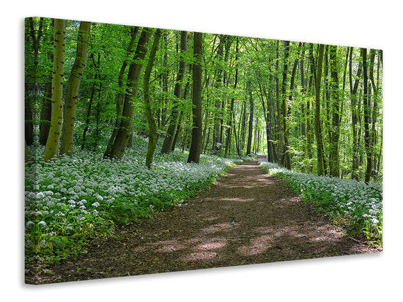 Leinwandbild Wir lieben den Sommer im Wald