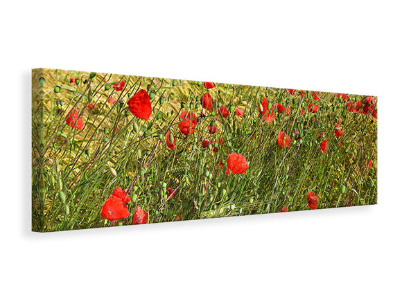 Leinwandbild Panorama Der Mohn im Wind