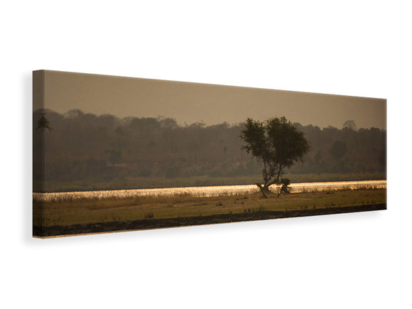 Leinwandbild Panorama Elefant alleine in der Steppe